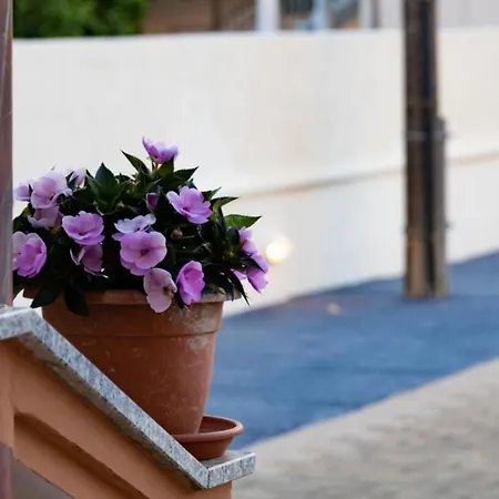 فيلة Casa Martinova *